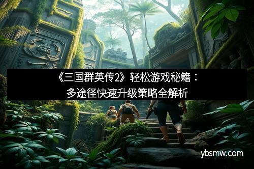 《三国群英传2》轻松游戏秘籍：多途径快速升级策略全解析